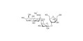 6'-Sialyllactulose (>90% NMR) - 6'-Sialyllactulose