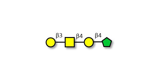 Asialo GM1 Ganglioside oligosaccharide (aGM1) fructose isomer (>90% NMR)