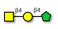Asialo GM2 Ganglioside...