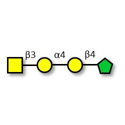 Globotetraose (Gb4) fructose isomer (>90% RMN)