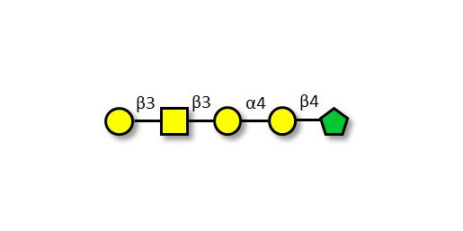 Globopentaose (Gb5) / Stage Specific Embryonic Antigen 3a (SSEA-3a) fructose isomer (>90% RMN)