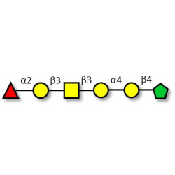 Globo-H hexaose / Stage Specific Embryonic Antigen 3b (SSEA-3b) fructose isomer (>90% RMN)