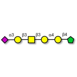 Stage-Specific Embryonic Antigen-4 hexaose (SSEA-4 hexaose) fructose isomer (90% NMR)