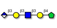 Glucuronyl-Lacto-N-tetraose...