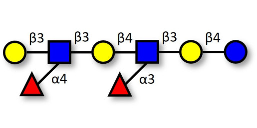 Difucosyl-para-lacto-N-hexaose II (DFpLNH II) / Lea-Lex octaose (>90% HPLC)