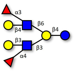 Difucosyllacto-N-hexaose b (DFLNH b) (>90% HPLC)