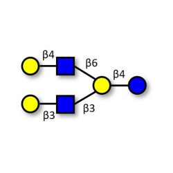 Lacto-N-hexaose (LNH) (>90% HPLC)