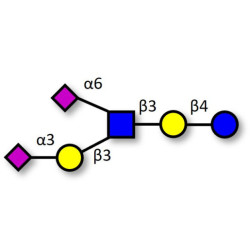 Disialyllacto-N-tetraose (DSLNT) (>90% HPLC)