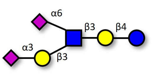 Disialyllacto-N-tetraose (DSLNT) (>90% HPLC) - DSLNT; Disialyl-LNT