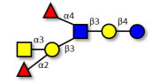 Blood group A antigen...