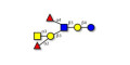 Blood group A antigen heptaose (>90% HPLC)
