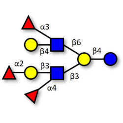 Trifucosyllacto-N-hexaose (TFLNH) (>90% HPLC)
