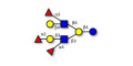 Trifucosyllacto-N-hexaose (TFLNH) (>90% HPLC) - Trifucosyl-LNH