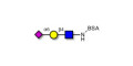 6'-α-sialyl-N-Acetyl-Lactosamine (6'SLN) grafted on BSA