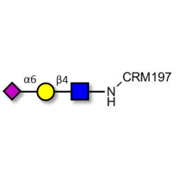 6'-α-sialyl-N-Acetyl-Lactosamine (6'SLN) grafted on CRM197