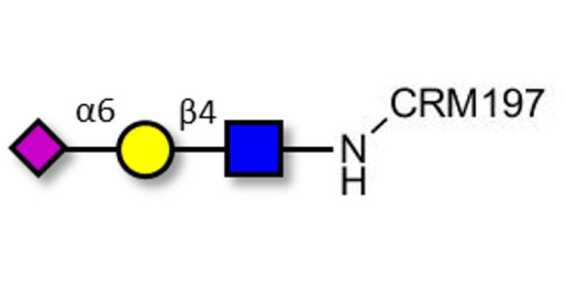 6'-α-sialyl-N-Acetyl-Lactosamine (6'SLN) grafted on CRM197