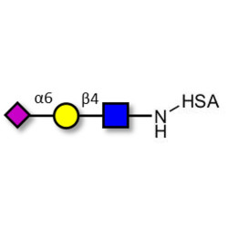 6'-α-sialyl-N-Acetyl-Lactosamine (6'SLN) grafted on HSA