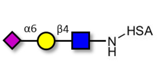 6'-α-sialyl-N-Acetyl-Lactosamine (6'SLN) grafted on HSA