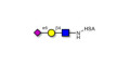 6'-α-sialyl-N-Acetyl-Lactosamine (6'SLN) grafted on HSA