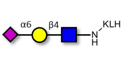 6'-α-sialyl-N-Acetyl-Lactosamine (6'SLN) grafted on KLH