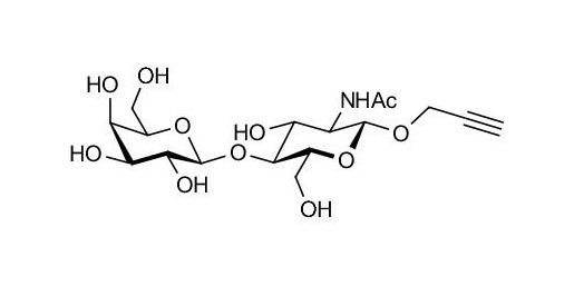 N-Acetyl-D-Lactosamine (LacNAc) type II with terminal alkyne (Linker-CΞCH B) - LacNac; 2-Acetamido-2-deoxy-4-O-β-D-galactopyranosyl-D-glucopyranose; LN, N-Acetyl-4-O-(β-D-galactopyranosyl)-D-glucosamine