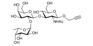 Blood group H antigen...