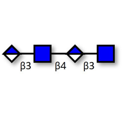 Hyaluronate oligosaccharide DP6 (>90% HPLC)