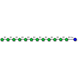 Fructo-oligosaccharide DP13 / GF12 (>90% HPAEC-PAD)