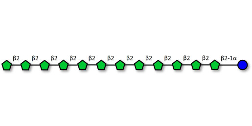 Fructo-oligosaccharide DP13 / GF12 (>90% HPAEC-PAD) - Fructotridecasaccharide