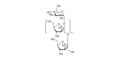 Fructo-oligosaccharide DP13 / GF12 (>90% HPAEC-PAD) - Fructotridecasaccharide