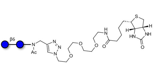 Gentiobiose DP2 linked to biotin
