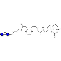 Gentiobiose DP2 linked to biotin