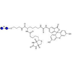 Gentiobiose DP2 linked to biotin