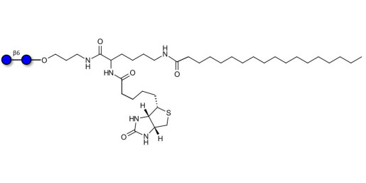 Gentiobiose DP2 linked to biotin and fluorescein
