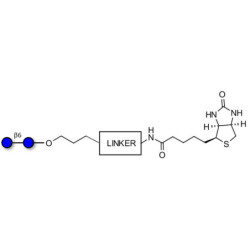 Gentiobiose DP2 linked to biotin with cleavable linker 
