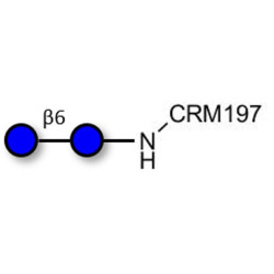 Gentiobiose DP2 grafted on CRM197