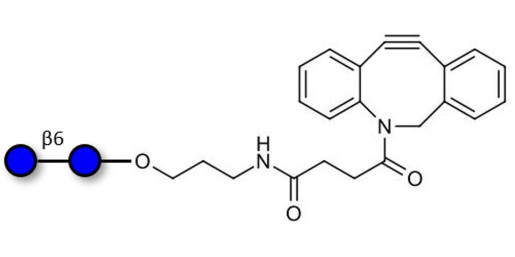 Gentiobiose DP2 with DBCO