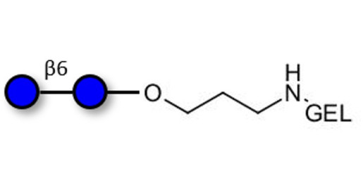 Gentiobiose DP2 grafted on gel for affinity chromatography