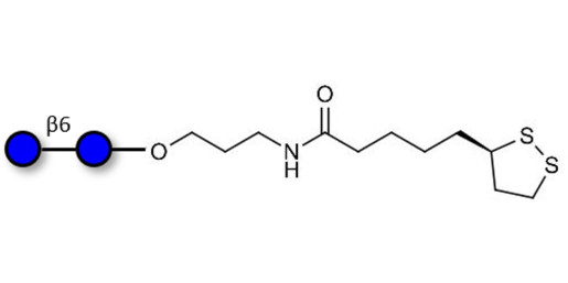 Gentiobiose DP2 with cyclic di-thiol