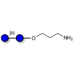 Gentiobiose DP2 with terminal amine
