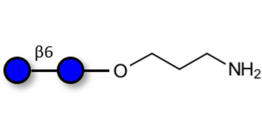 Gentiobiose DP2 with terminal amine