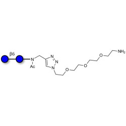 Gentiobiose DP2 with terminal amine