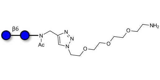Gentiobiose DP2 with terminal amine