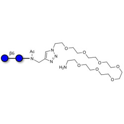 Gentiobiose DP2 with terminal amine