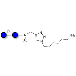 Gentiobiose DP2 with terminal amine