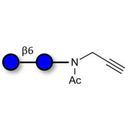 Gentiobiose DP2 with terminal alkyne