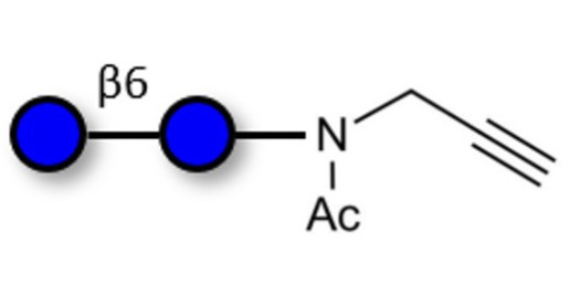 Gentiobiose DP2 with terminal alkyne