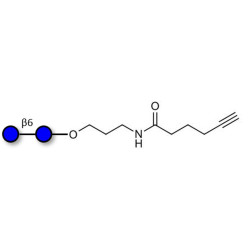 Gentiobiose DP2 with terminal alkyne