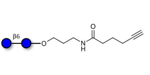 Gentiobiose DP2 with terminal alkyne
