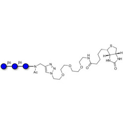 Gentiotriose DP3  linked to biotin